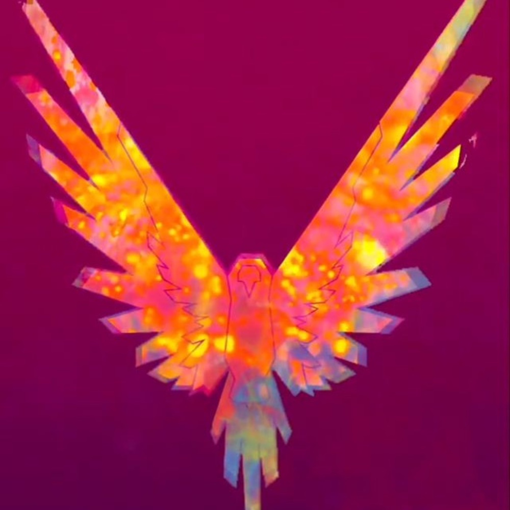 Meet your Posher, Dannia